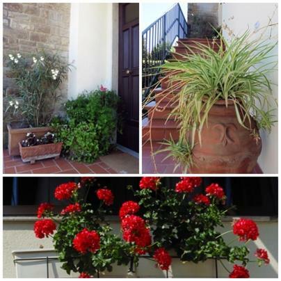 Appartamento Il Veggio Poggio a Caiano Buitenkant foto